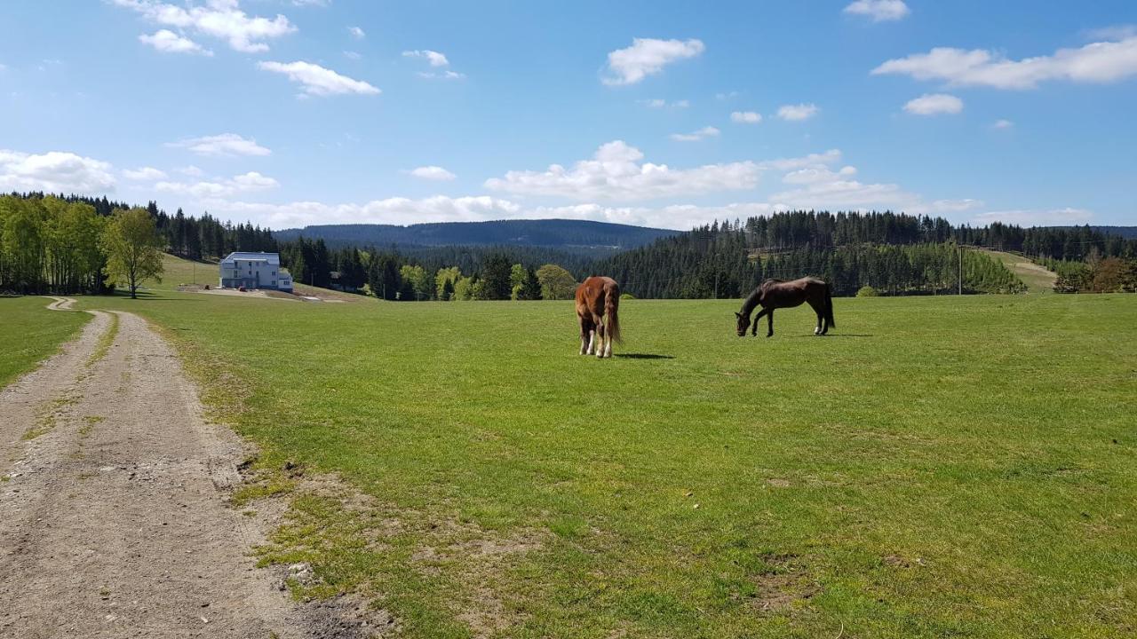 Apartmány Stráň Potucky Esterno foto