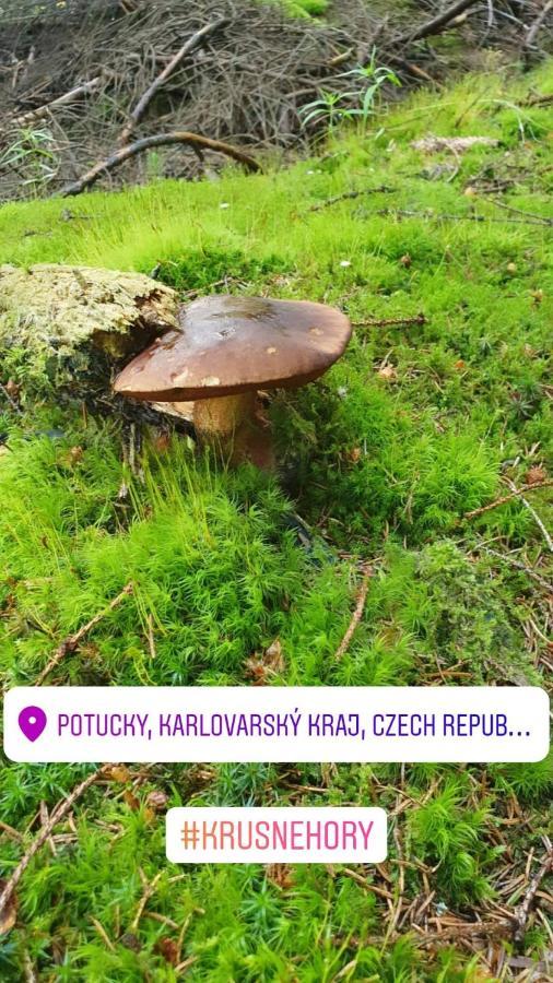 Apartmány Stráň Potucky Esterno foto